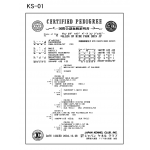 血統書スタンド 基本デザイン