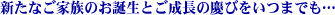 �V���Ȃ��Ƒ��̂��a���Ƃ������̌c�т����܂ł�